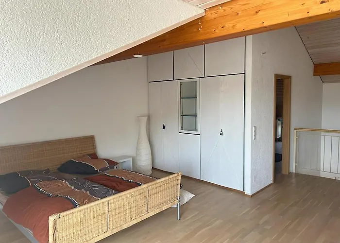 Апартаменты Helle Maisonette Бад-Зекинген